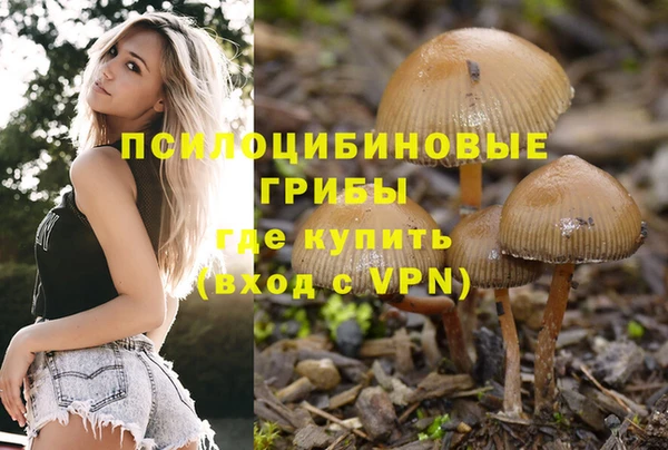 скорость Зерноград