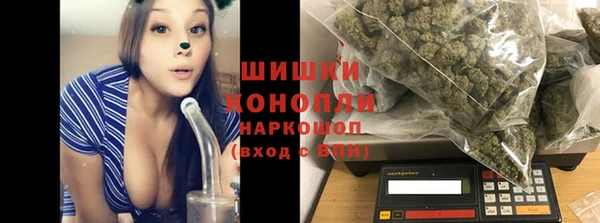 сатива Зеленокумск