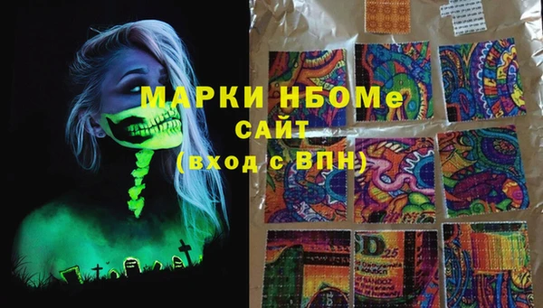 сатива Зеленокумск