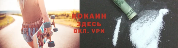 сатива Зеленокумск