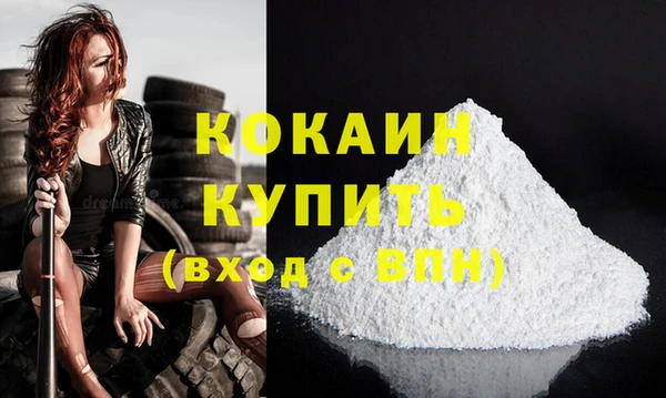 сатива Зеленокумск