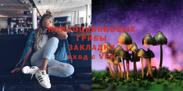 сатива Зеленокумск