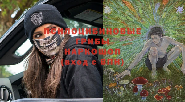 сатива Зеленокумск