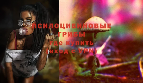 сатива Зеленокумск