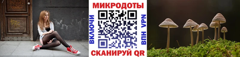 Купить  Ишимбай  Псилоцибиновые грибы мицелий 